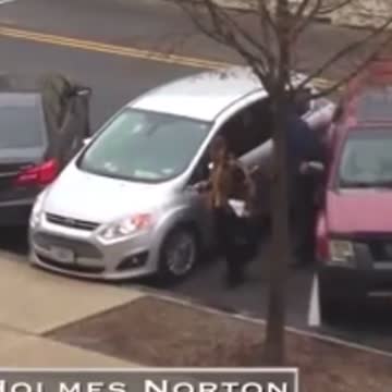 Pelosi must be drunk again. Here's her friend!