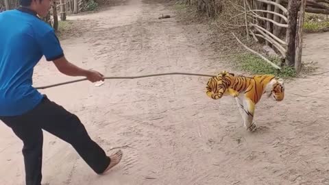 fake tiger prank dog funny | prank dog sound | prank dog video