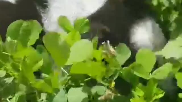 It was a joy to see the sun shining on Riki