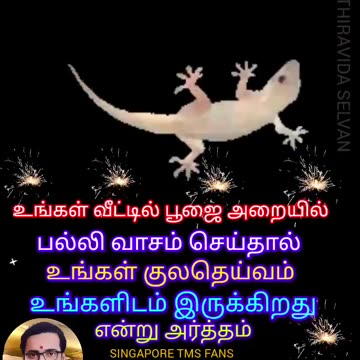 உங்கள்வீட்டில் பூஜைஅறையில் பல்லி வாசம்செய்தால் உங்கள் குலதெய்வம் உங்களிடம் இருக்கிறது