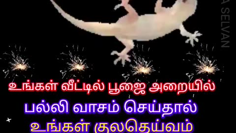 உங்கள்வீட்டில் பூஜைஅறையில் பல்லி வாசம்செய்தால் உங்கள் குலதெய்வம் உங்களிடம் இருக்கிறது