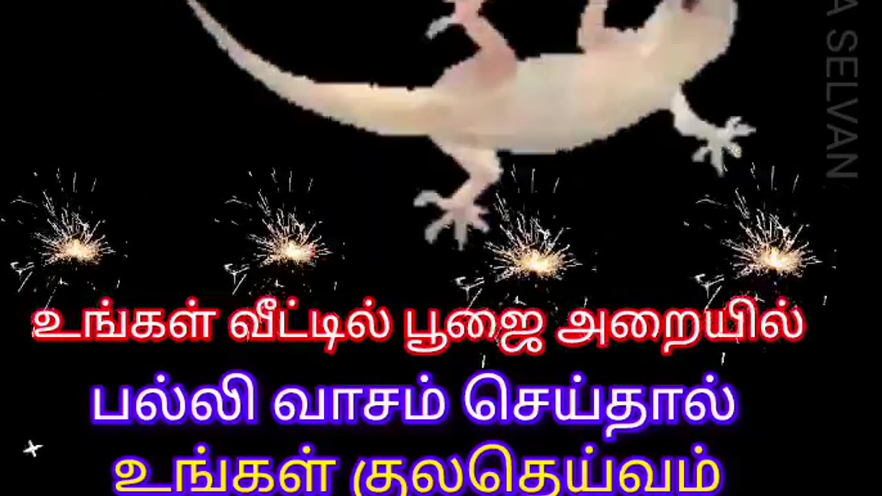 உங்கள்வீட்டில் பூஜைஅறையில் பல்லி வாசம்செய்தால் உங்கள் குலதெய்வம் உங்களிடம் இருக்கிறது