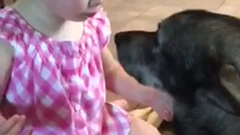 Little girl kisses and holds dog