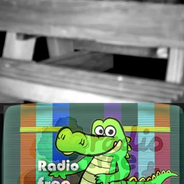 Radio Tree Nut City - F. M. Bandit Setting Up