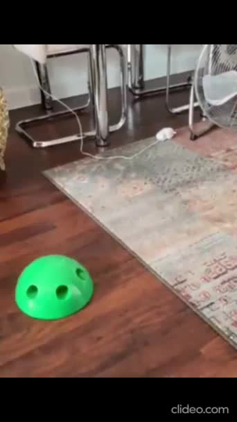 Do you react to the lies from the media?