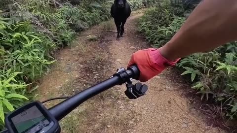 He was scared for a second :)