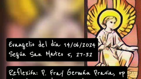 Evangelio del día 14/06/2024 según San Mateo - P. Fray Germán Pravia, op