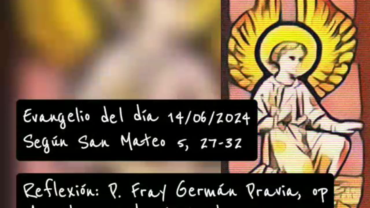 Evangelio del día 14/06/2024 según San Mateo - P. Fray Germán Pravia, op