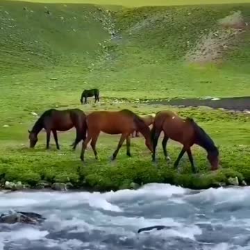 no doubt about the beauty of flowers