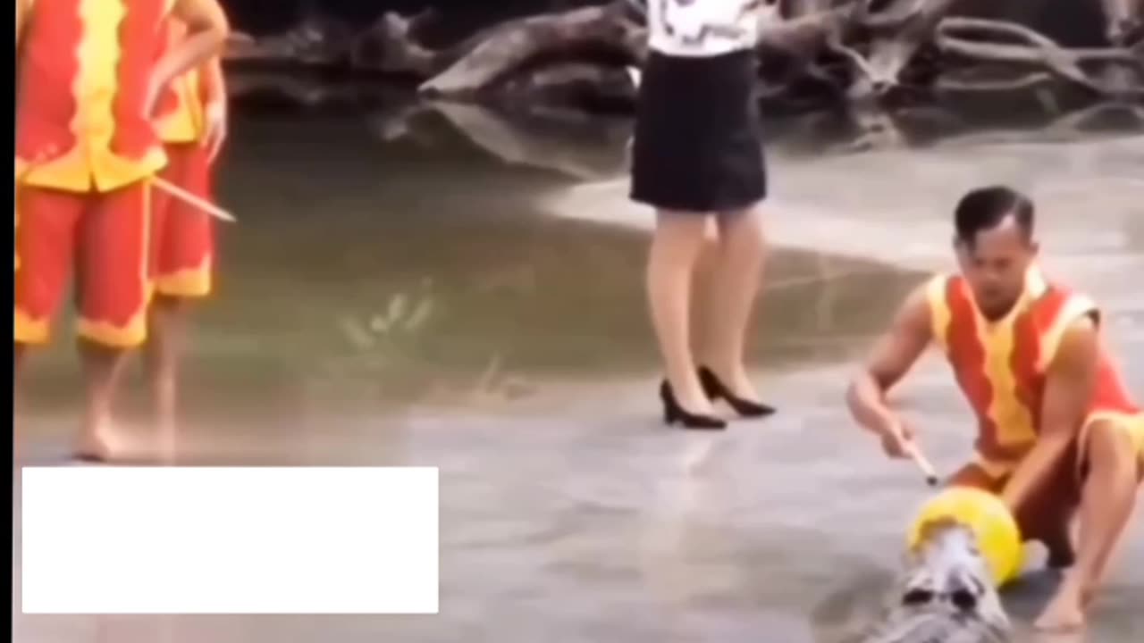 FUNNY VIDEOS 😃😃😂😂🤣🤣
