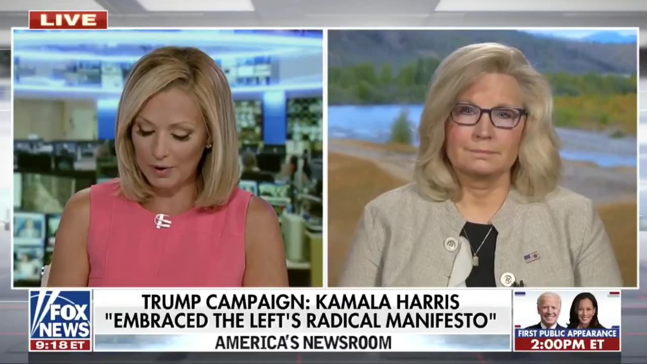 Liz Cheney Endorses Kamala Harris - Here's a Reminder of What she Said About Her in 2020