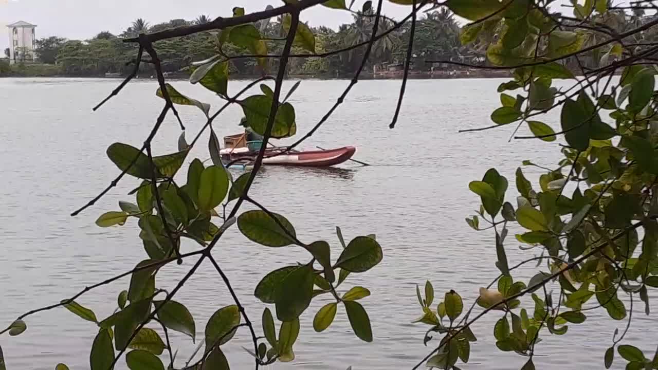 The boat on the river