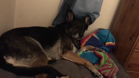 FIONA LOUNGING