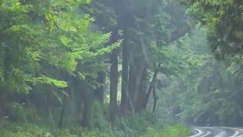 The sound of rain brings relaxation, long sleep and psychological comfort