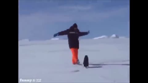 animals memes your life with their owners