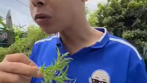 Eat eat and eat