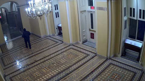 0102USCS01SenateWingDoornearS139_2021-01-06_06h58min12s970ms.mp4