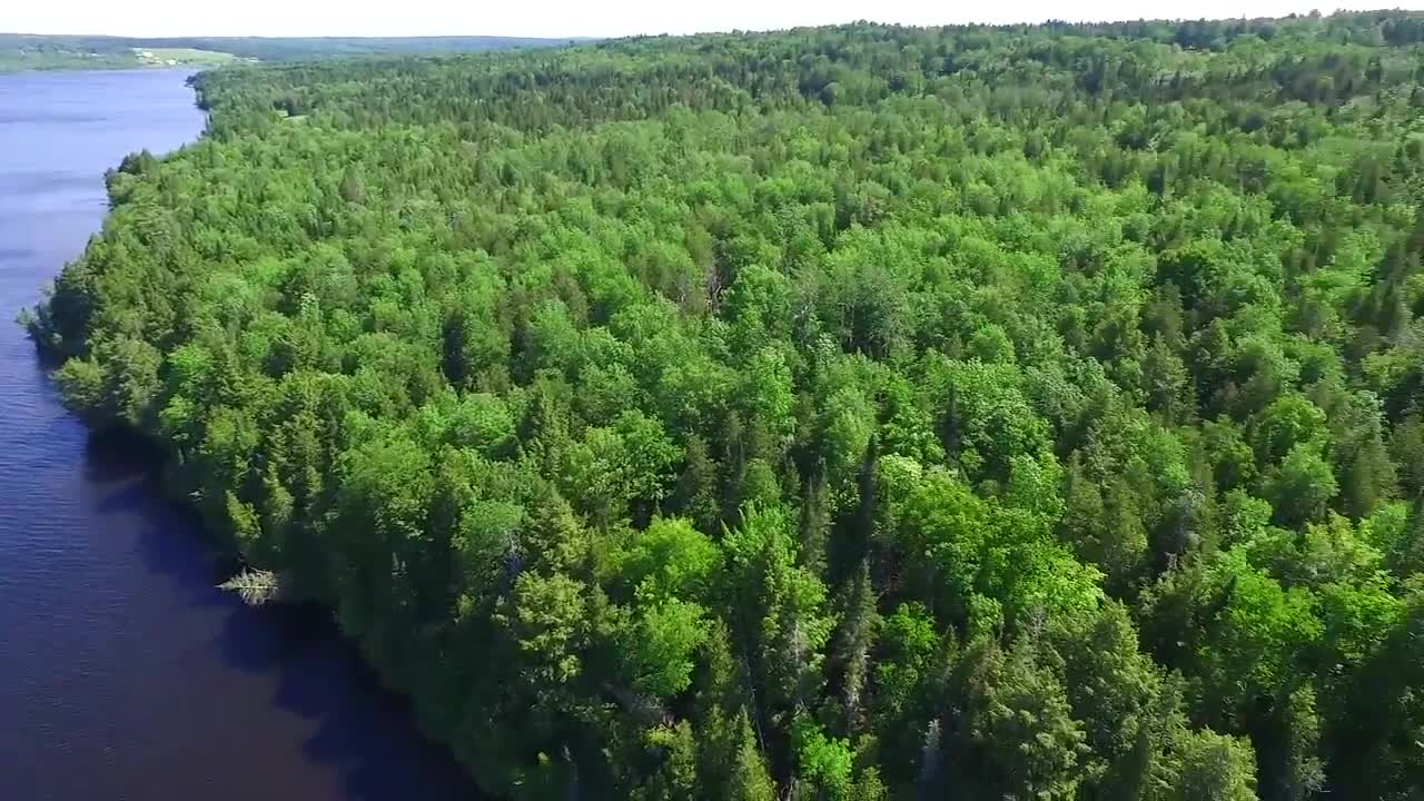 Pontoon boat from DJI drone