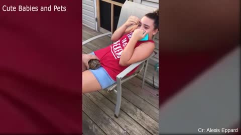 Funny Different Animals Scaring People.