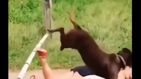 How would you caption this 😂!?