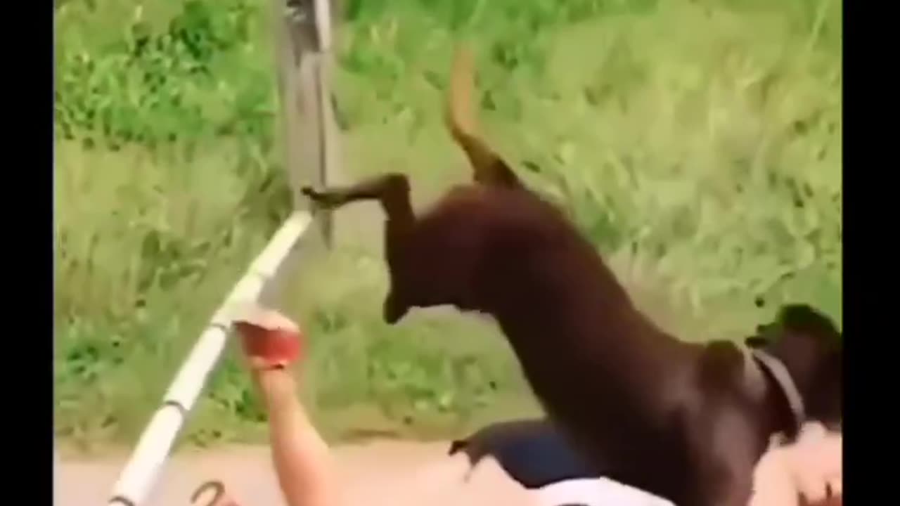 How would you caption this 😂!?
