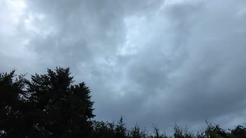 KLAWDZ TL OCT 16 2021 Ydtl0218
