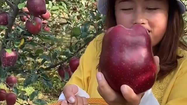 Farm Fresh Ninja Fruit Cutting Desi Satisfying Fruit Ninja Fruit Ideas | Amazing Fruits Video