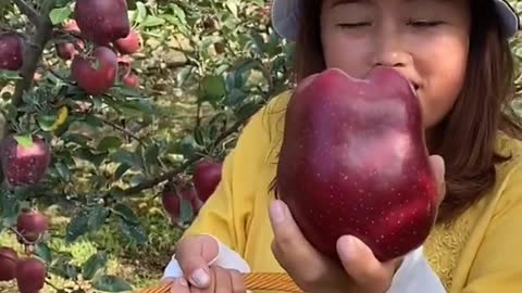 Farm Fresh Ninja Fruit Cutting Desi Satisfying Fruit Ninja Fruit Ideas | Amazing Fruits Video