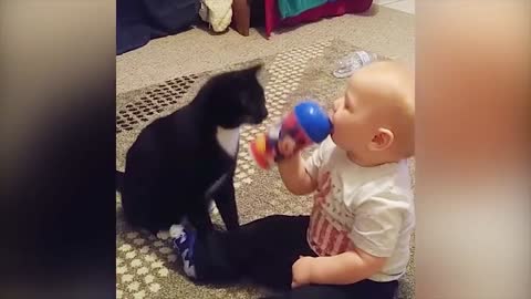 Baby and Cats Playing Together - Funny Baby and Pets Moments