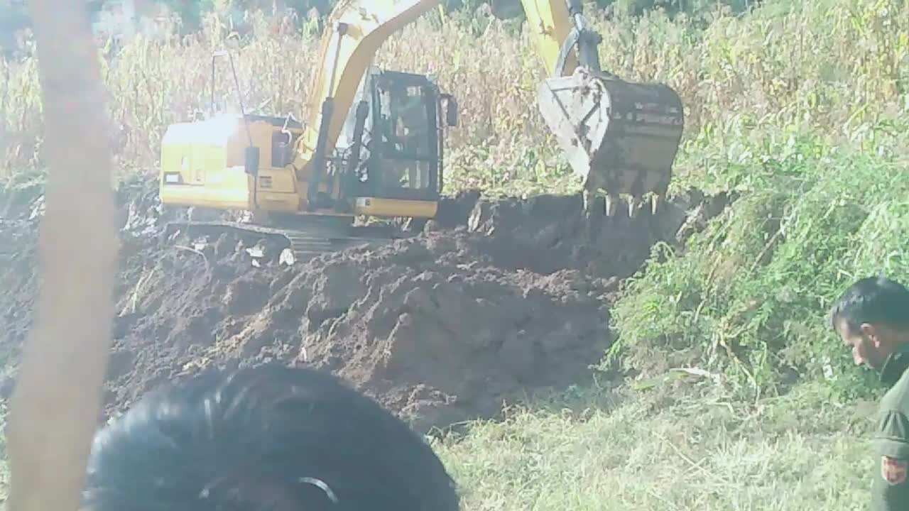 Destroying corn 🌽 by machine