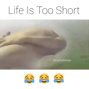 This video proves us that life is too short