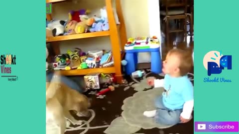 New Funny Babies Laughing Hysterically at Dogs