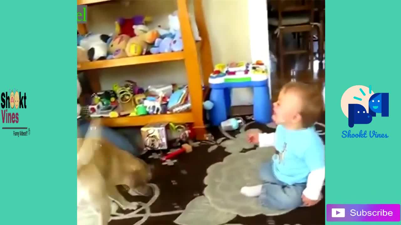 New Funny Babies Laughing Hysterically at Dogs