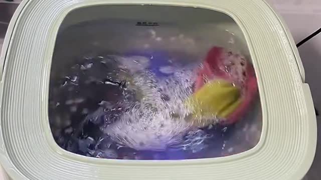 funny|prank|jokes|funny jokes|dad jokes|funny memes|funny video|fun|laughing|funny animal|knock