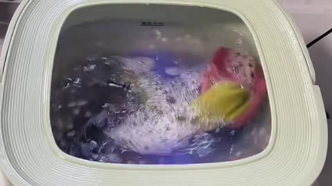 funny|prank|jokes|funny jokes|dad jokes|funny memes|funny video|fun|laughing|funny animal|knock