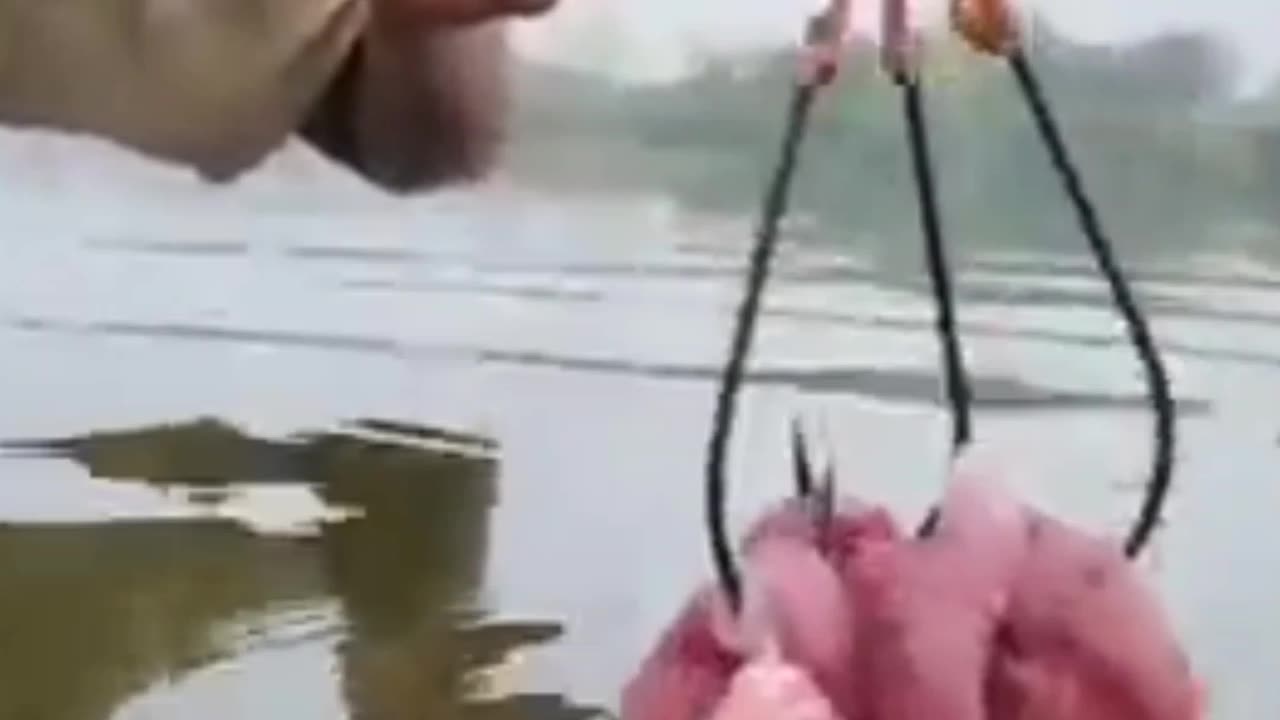 Unbelievable Technique Big Fishing Bottle Hook Trap