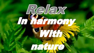 Relaxing Music | Sleeping, Meditation, Stress Relief | [5765] ⭐️