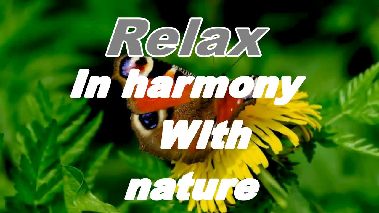 Relaxing Music | Sleeping, Meditation, Stress Relief | [5765] ⭐️