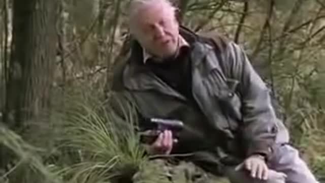 This Bird Can Copy The Sound Of Everybody Including Human