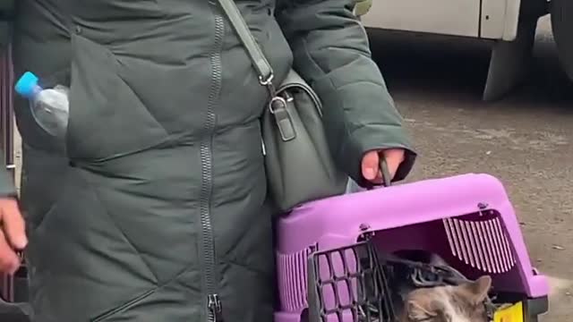 This Ukrainian Lady flee with her Cat