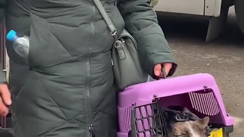 This Ukrainian Lady flee with her Cat