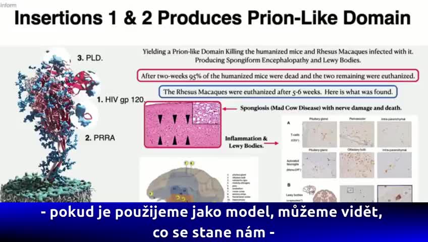 Dr Richard Fleming shows the HIV inserts to the S Spike Protein.