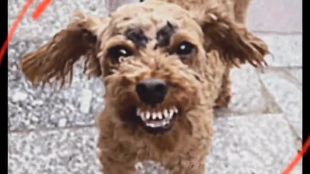 Share interesting videos 10