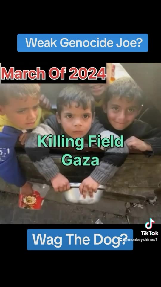 Why Joe Biden Can't Stand Up To Israel?