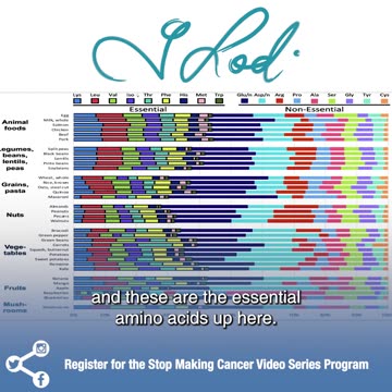How Do We Get Protein?