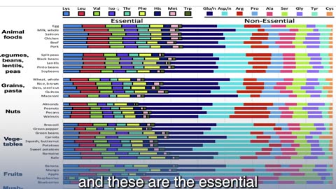 How Do We Get Protein?