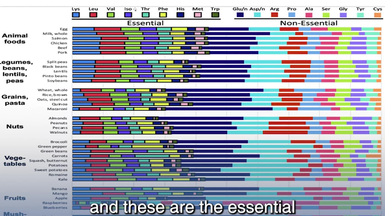 How Do We Get Protein?