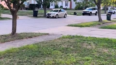 8 year old driver