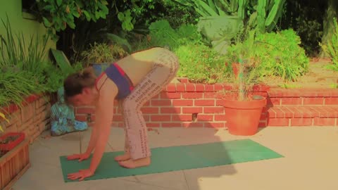 AK14 Power YOGA CLASS Vinyasa Flow Arm Balances Level 1-3