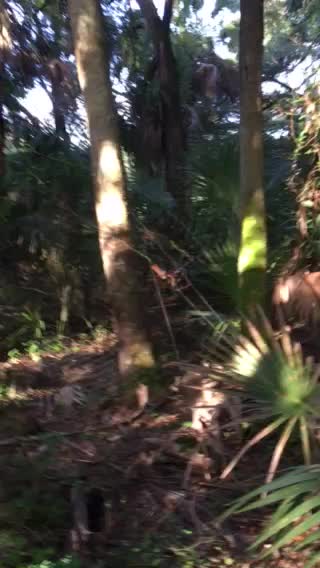 The biggest freaking spider I’ve seen so far